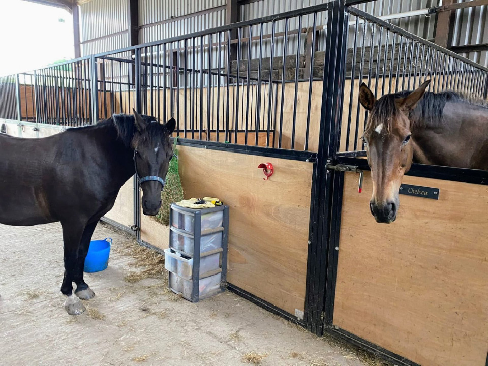 Horse livery North Somerset
