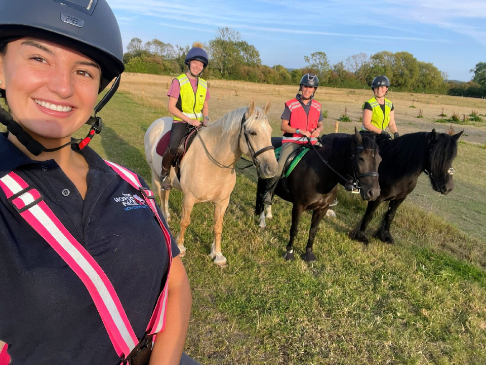 DIY Horse Livery