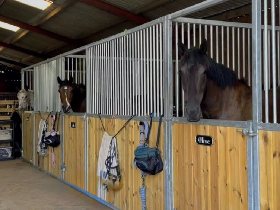 Horse Stables